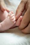 Manon HOGUET - Le citron